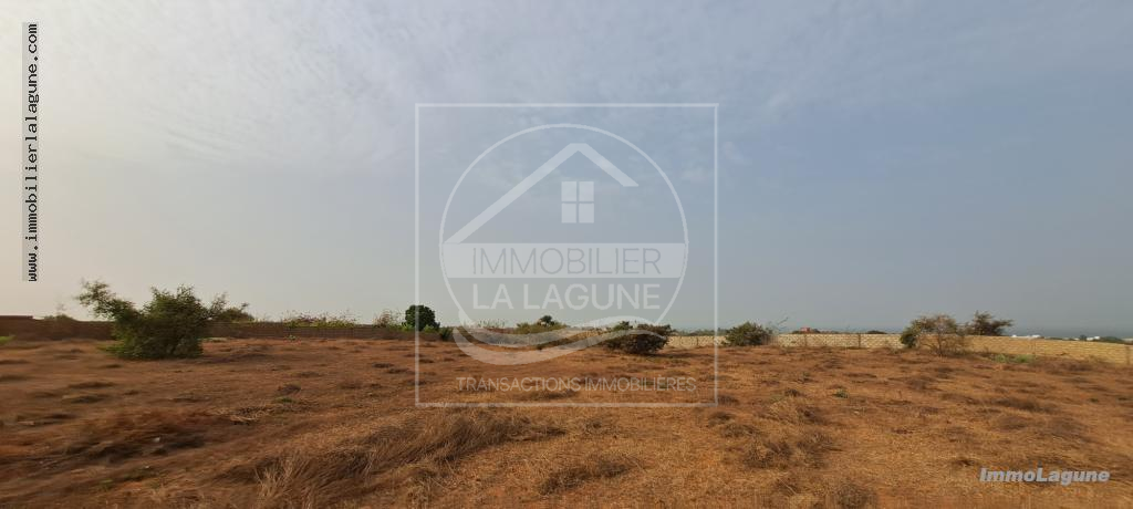 Agence Immobilière Saly Sénégal - T3001 - Terrain à Guéréo - T3001-terrain-a-vendre-a-guereo-senegal
