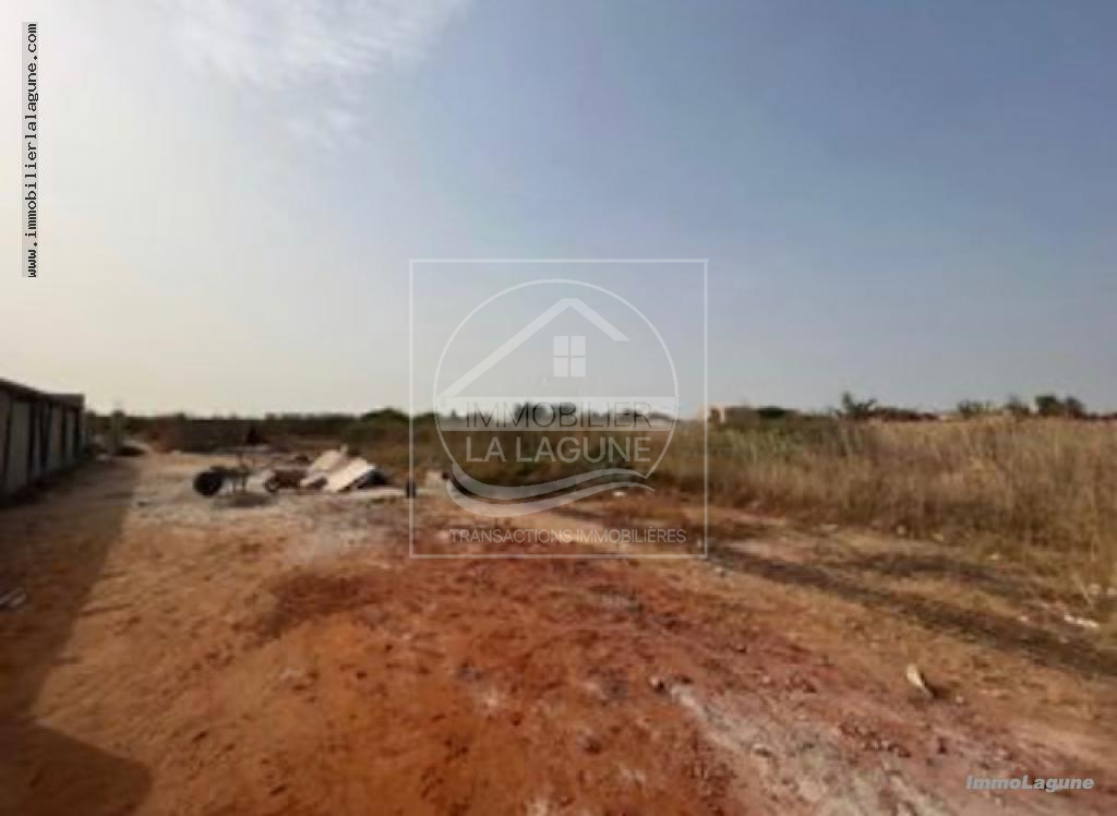 Agence Immobilière Saly Sénégal - T3027 - Terrain à NGUERIGNE - T3027 terrain a vendre nguerigne senegal