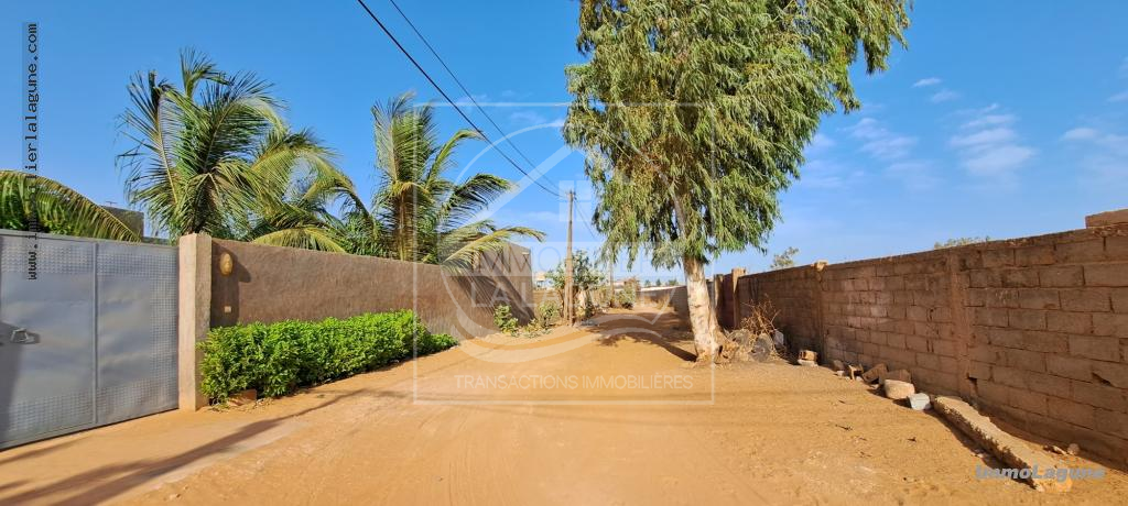 Agence Immobilière Saly Sénégal - T3038 - Terrain à NGAPAROU - T3038-terrain-a-vendre-a-ngaparou-senegal
