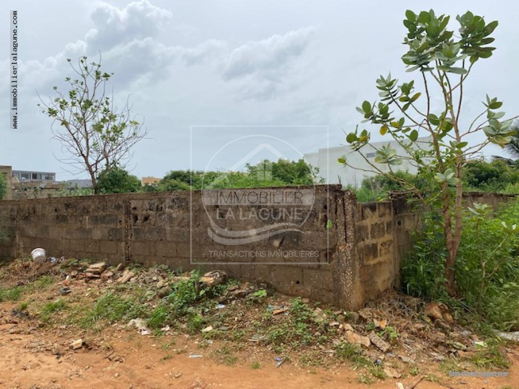 Agence Immobilière Saly Sénégal - T3071 - Terrain à SOMONE - T3071 terrain a vendre somone senegal