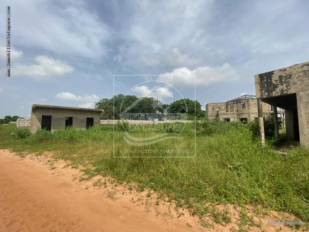 Agence Immobilière Saly Sénégal - T3073 - Terrain à NGUERIGNE - T3073 terrain a vendre nguerigne senegal