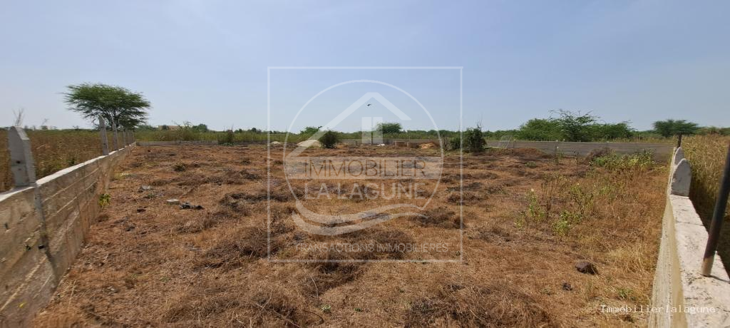 Agence Immobilière Saly Sénégal - T3090 - Terrain à Guéréo - T3090-terrain-a-vendre-a-guereo-senegal