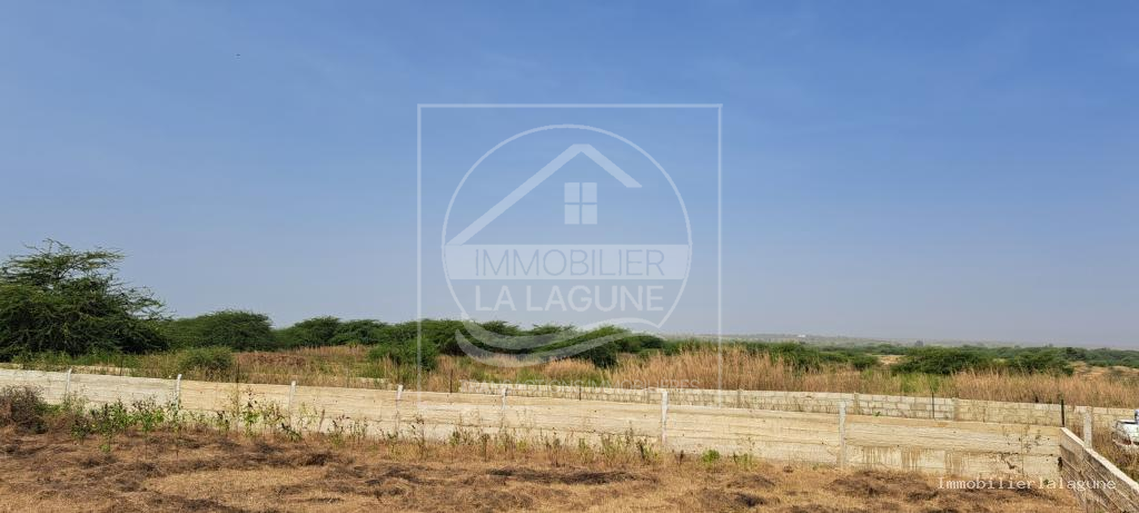 Agence Immobilière Saly Sénégal - T3090 - Terrain à Guéréo - T3090-terrain-a-vendre-a-guereo-senegal