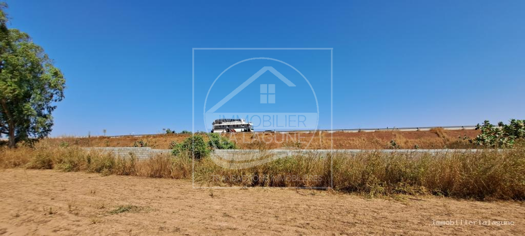 Agence Immobilière Saly Sénégal - T3103 - Terrain à NGUEKHOKH - T3103-terrain-a-vendre-a-nguekokh-senegal