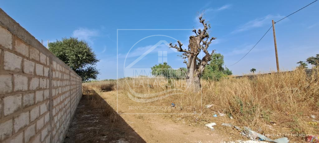 Agence Immobilière Saly Sénégal - T3108 - Terrain à NGUERIGNE - T3108-terrain-a-vendre-a-nguerigne-senegal