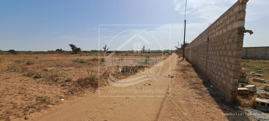 Agence Immobilière Saly Sénégal - T3108 - Terrain à NGUERIGNE - T3108-terrain-a-vendre-a-nguerigne-senegal