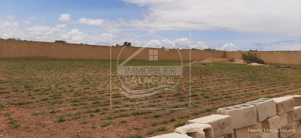Agence Immobilière Saly Sénégal - T3131 - Terrain à NGAPAROU - T3131-terrain-a-vendre-a-ngaparou-senegal