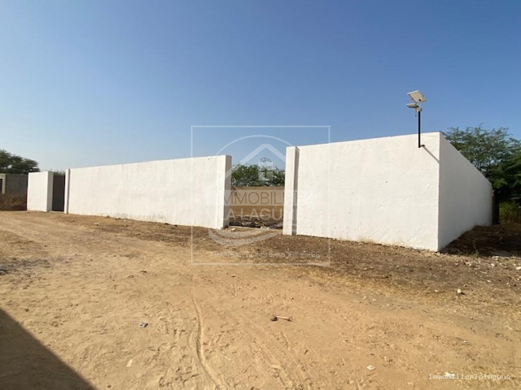 Agence Immobilière Saly Sénégal - T3126 - Terrain à SOMONE - T3126 terrain a vendre somone senegal