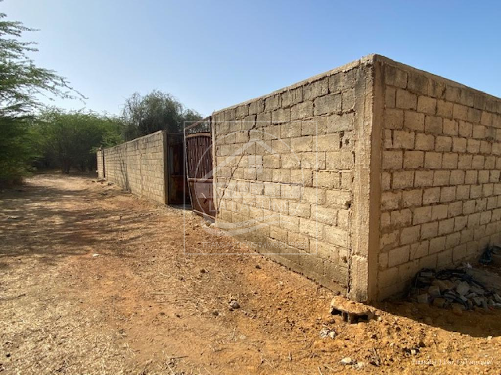 Agence Immobilière Saly Sénégal - T3127 - Terrain à SOMONE - T3127 terrain a vendre somone senegal