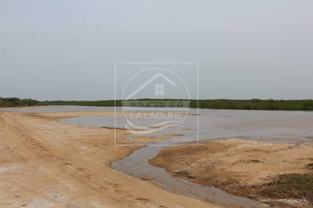 Agence Immobilière Saly Sénégal - T3110 - Terrain à SOMONE - 