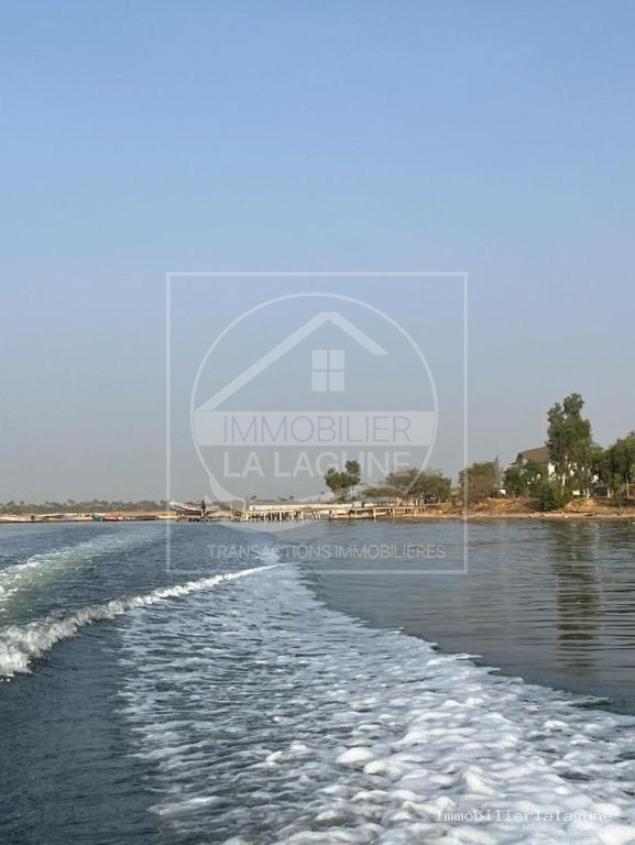 Agence Immobilière Saly Sénégal - T3144 - Terrain à SINE SALOUM - T3144 Terrain a vendre ile de mar lodge senegal