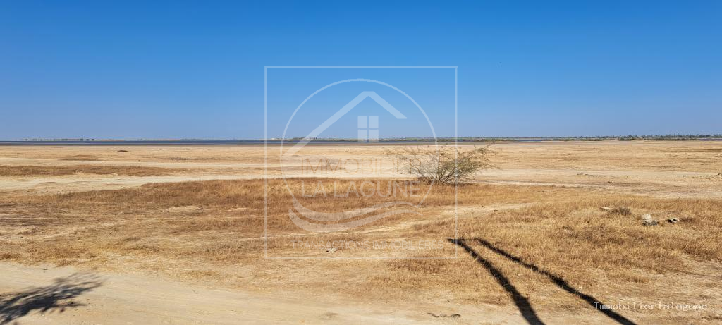 Agence Immobilière Saly Sénégal - T3153 - Terrain à NDANGANE - T3153-terrain-a-vendre-a-ndangane-senegal