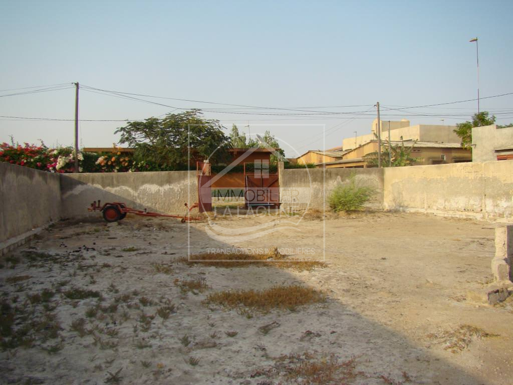 Agence Immobilière Saly Sénégal - T1896 - Terrain à NIANING - T1896 terrain à vendre à nianing
