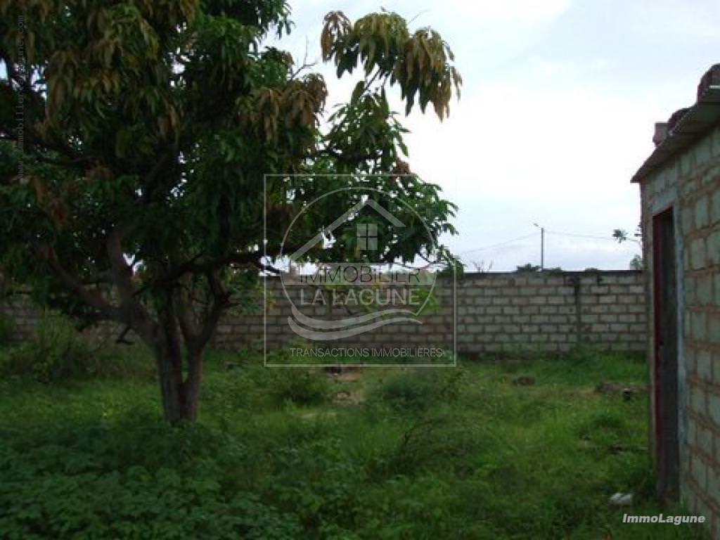 Agence Immobilière Saly Sénégal - T1966 - Terrain à N'DIOROKH - T1966 Terrain à vendre à Ndiorokh Senegal