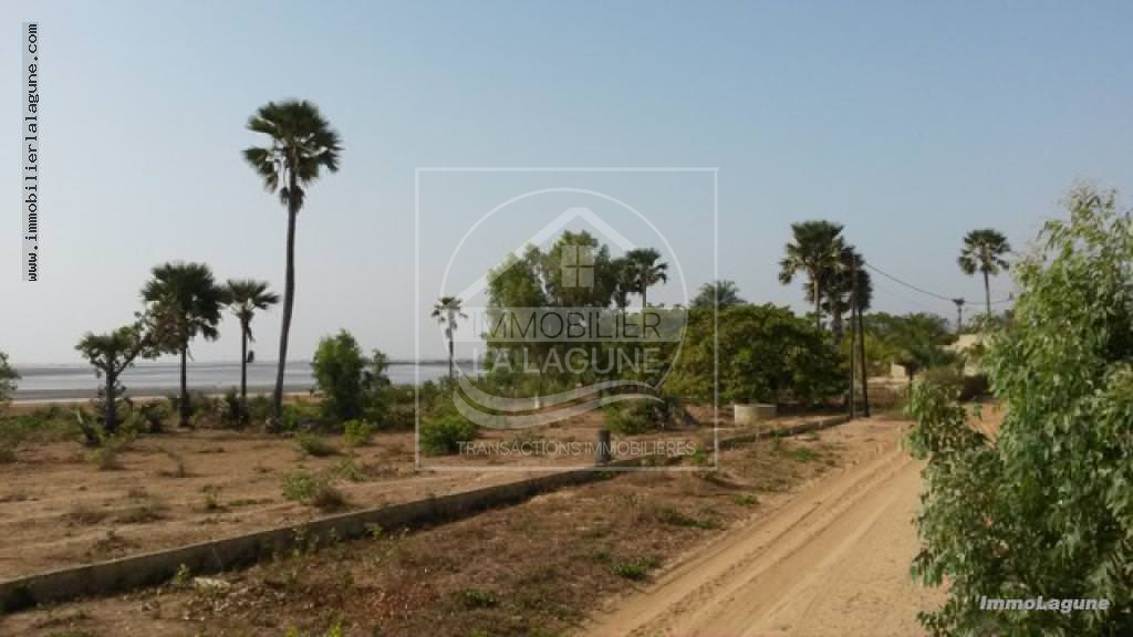 Agence Immobilière Saly Sénégal - T1969 - Terrain à FIMELA - T1969 Terrain à vendre Sine Saloum Senegal