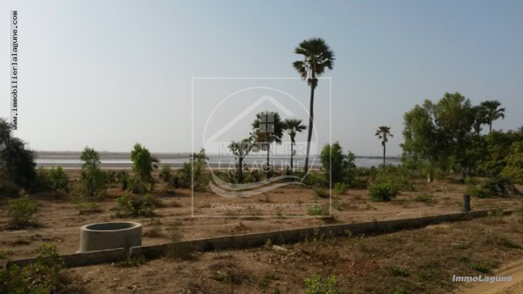 Agence Immobilière Saly Sénégal - T1969 - Terrain à FIMELA - T1969 terrain à vendre Sine Saloum Senegal