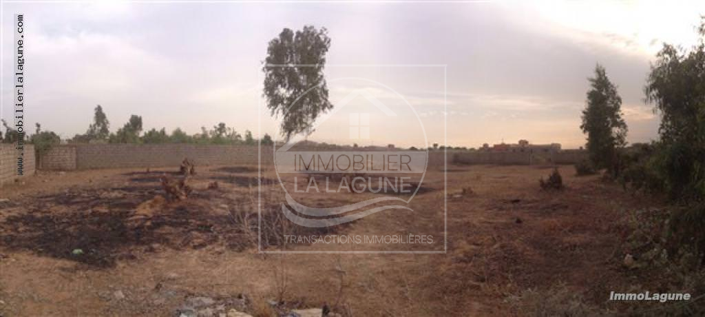 Agence Immobilière Saly Sénégal - T1973 - Terrain à MBOUR - 