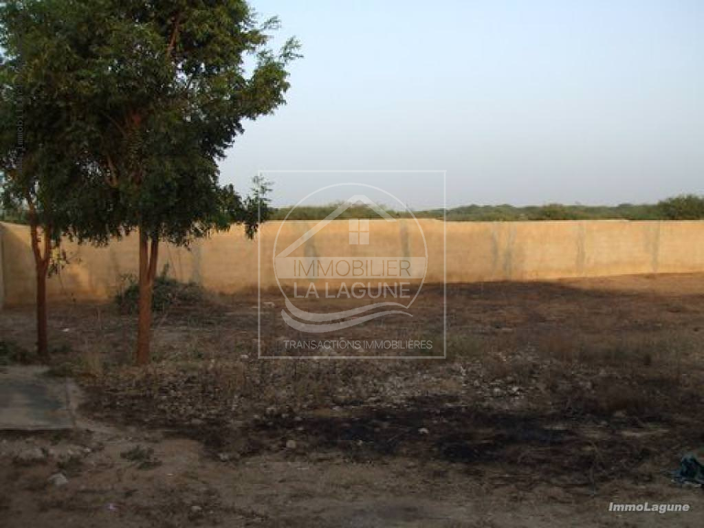 Agence Immobilière Saly Sénégal - T2084 - Terrain à SOMONE - T2084 Terrain à vendre à Somone Sénégal